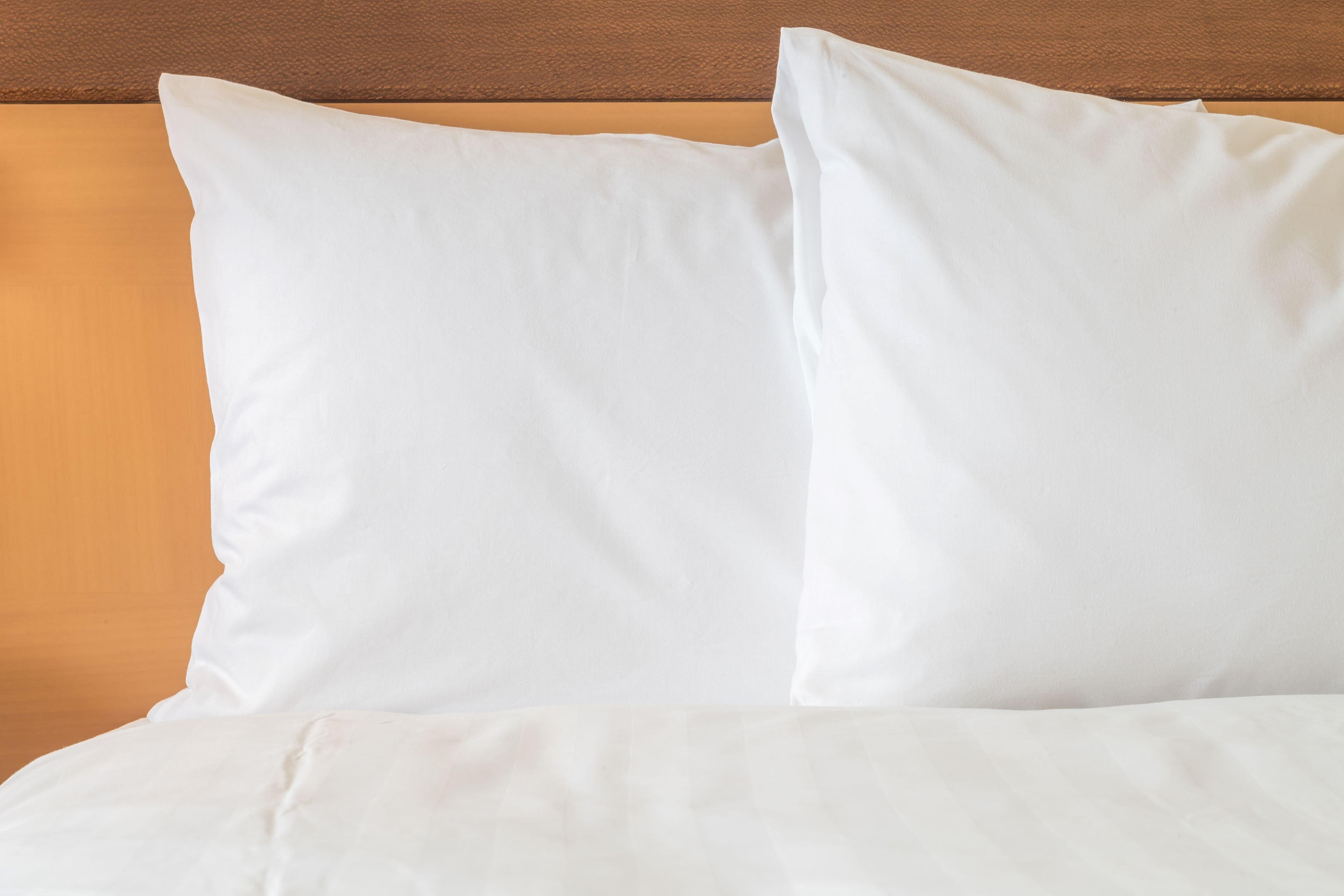 Holiday Inn Express Quebec City-Sainte Foy By Ihg Buitenkant foto